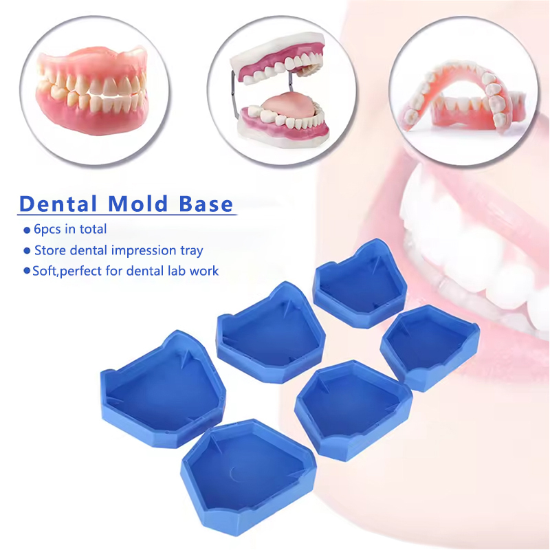 2/6 Buah Model Gigi Dasar Sili - Model Kit Tool ulasan dan harga