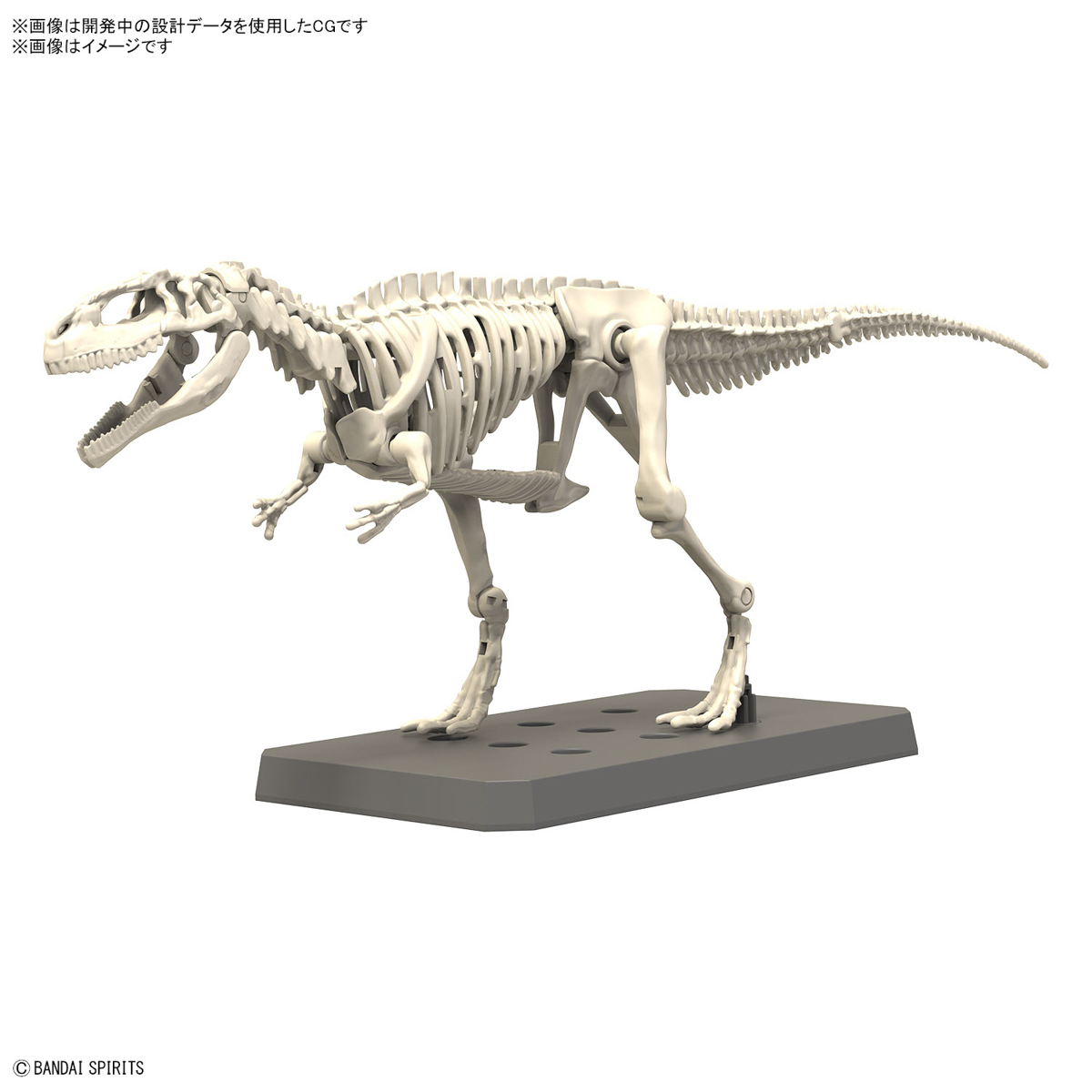 Model Kit Fosil Kerangka Dinos - Model Kit Dinosaur Bandai ulasan dan harga